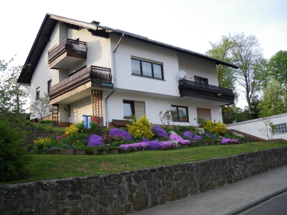 Pension Haus Ludwig Schotten Exteriér fotografie