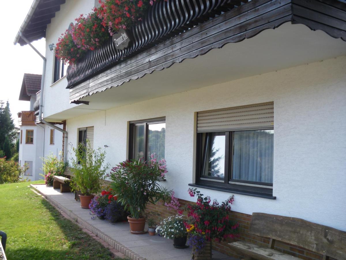 Pension Haus Ludwig Schotten Exteriér fotografie