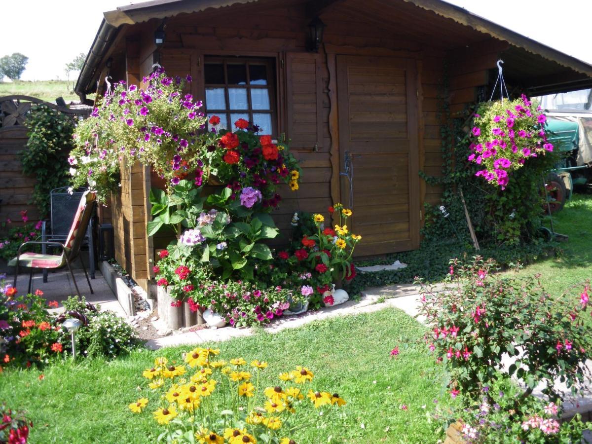 Pension Haus Ludwig Schotten Exteriér fotografie